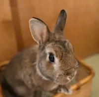 mikiTのアイコン